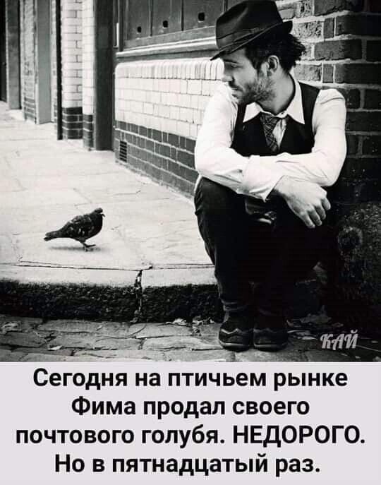 Мужик в магазине покупает сотовый телефон.  Продавец... сказать, опять, Алеша, можно, портить, курить, зовут, проехать, Меркель, господин, время, только, полицейского, улыбкой, полезенИнструкция, Здравствуйте, полицейскй, пожалуйста, грознее, подскажите…