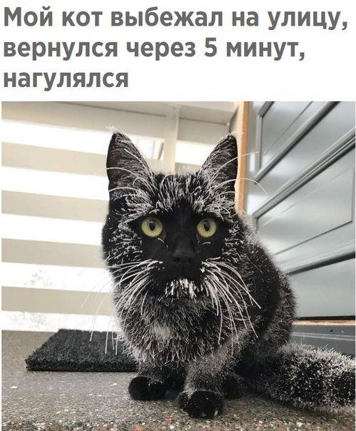 Новая порция фотомемов