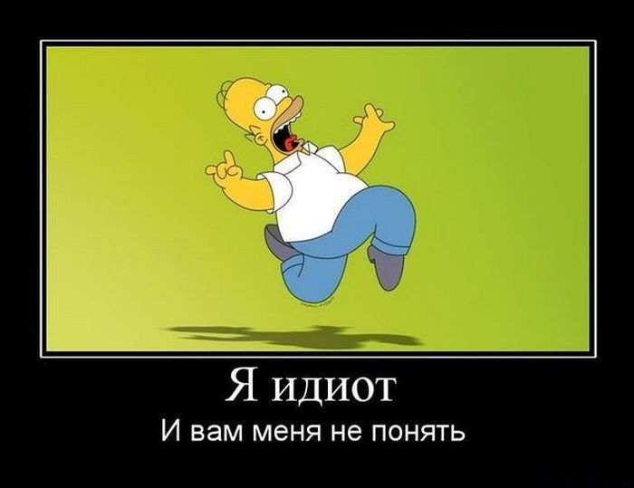 Я идиот. И вам меня не понять