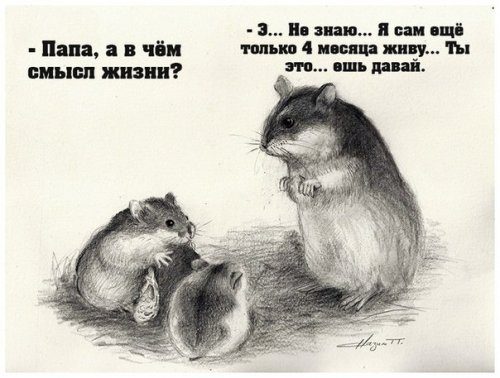 Новая порция фотомемов