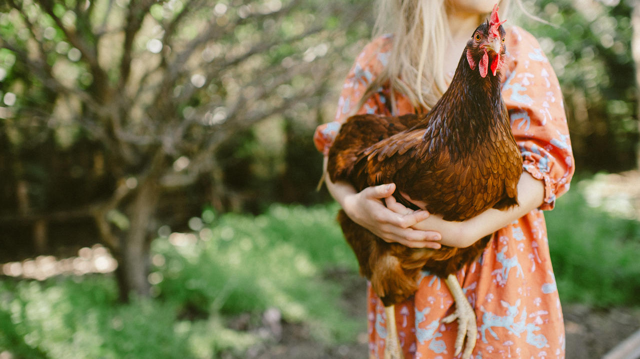 О горемычных девочках