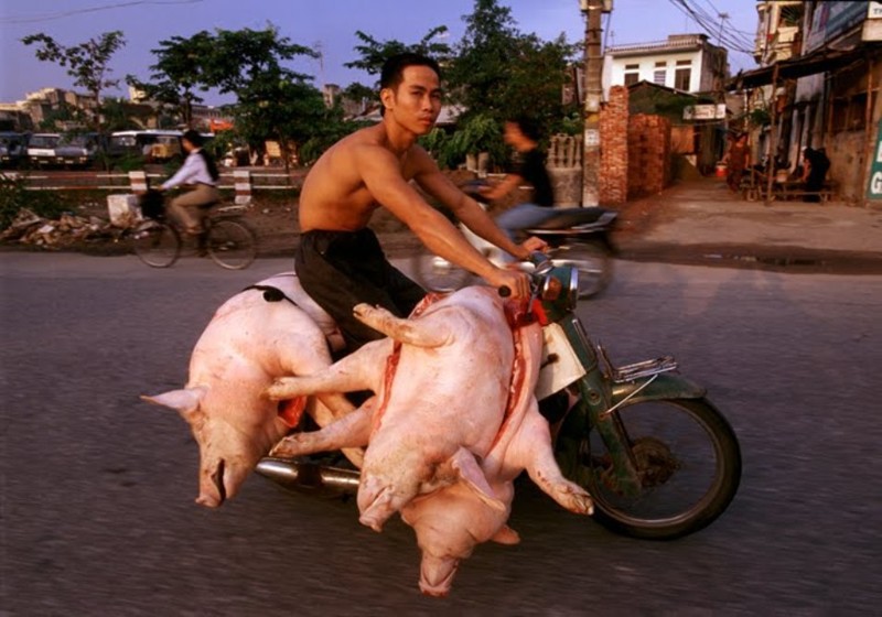 Вьетнам: нюансы правил дорожного движения Вьетнам, азия, вождение, море, мотобайк, отдых, перевозки, юмор