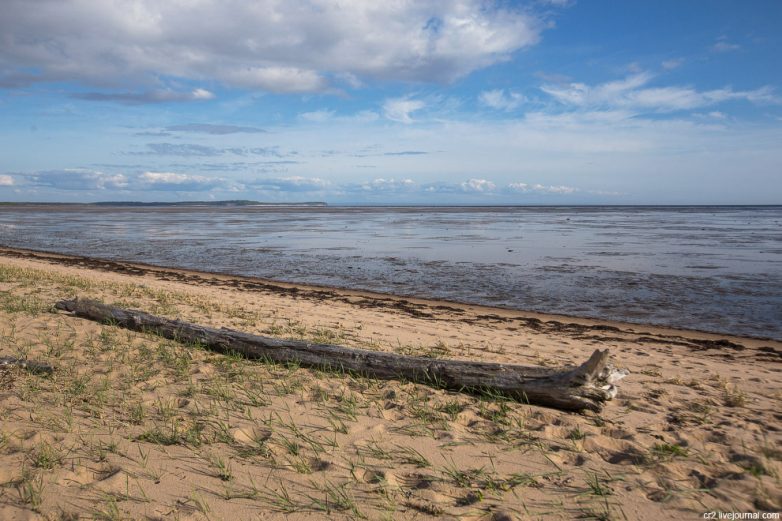 Из первых уст: Белое море, кладбище карбасов Белое море,корабли