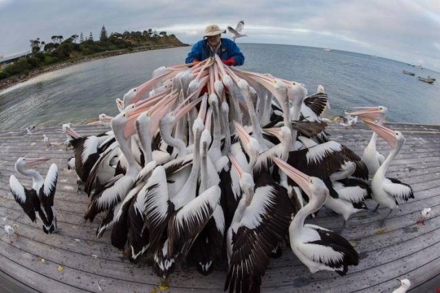 Фотоподборка выходных Фотоподборка выходных