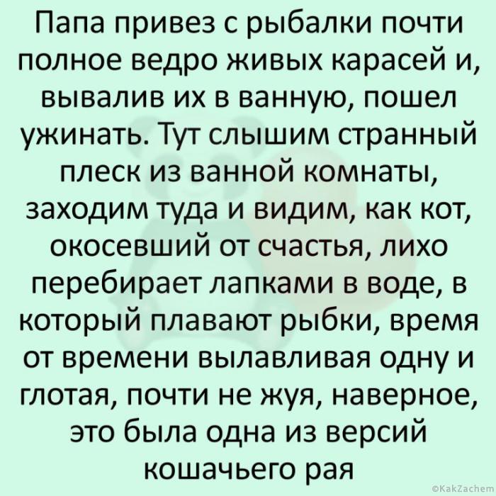 Хорошо смеется тот, кто смеется всегда 