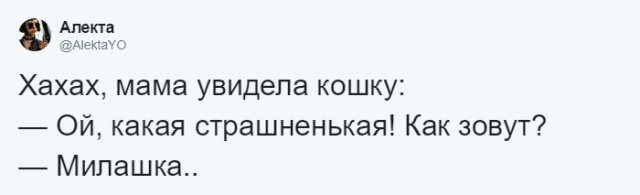 Пользователи соцсетей о необычных кличках домашних питомцев юмор