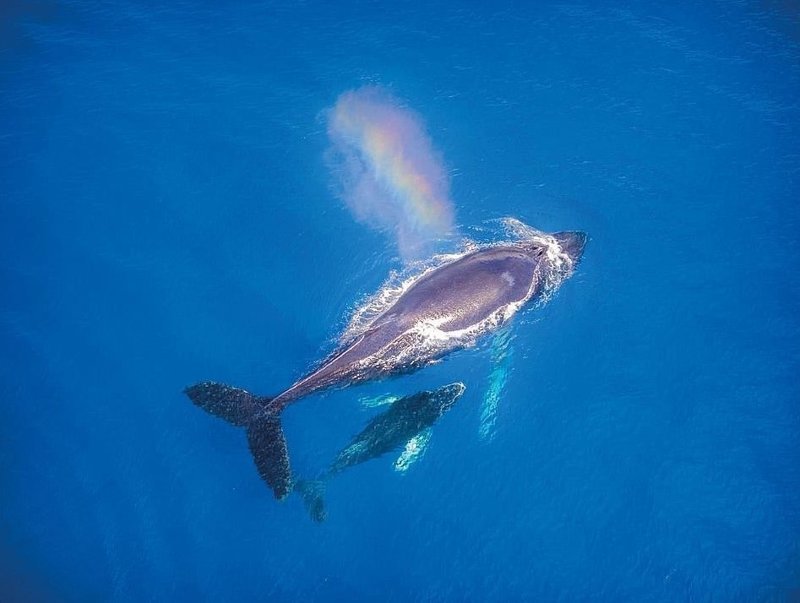 Мастера фотодронов показали класс вид сверху, дроны, красивые виды, красота, с высоты птичьего полета, фото, фотографы, фотоискусство