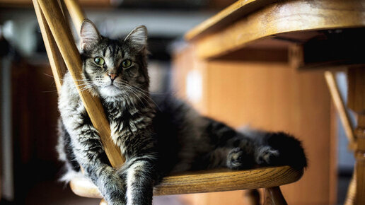 Личный мастер