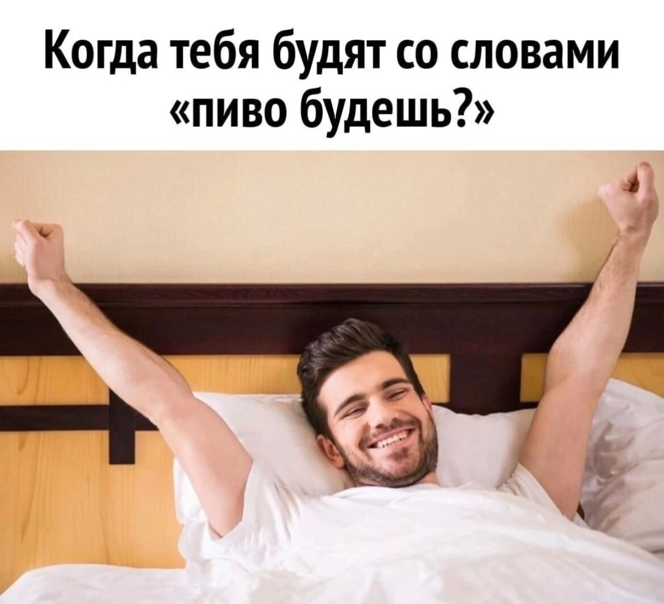 Юмор за день и очень глупая идея Юмор за день и очень глупая идея