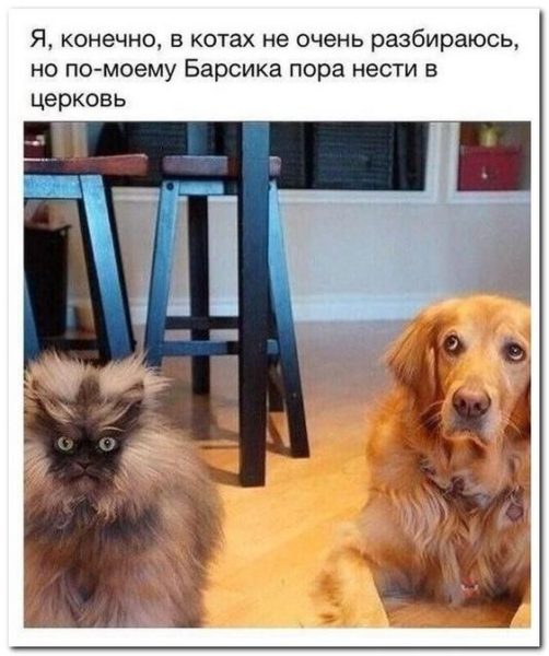 Весёлые анекдоты с просторов сети Весёлые анекдоты с просторов сети