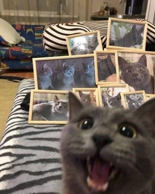 Что-то тут не то... Что-то тут не то...
