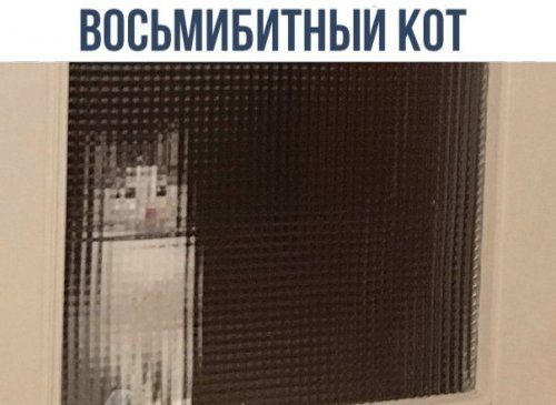 Новая порция фотомемов