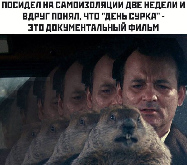 Шутки для тех, кто не любит скучать дома 