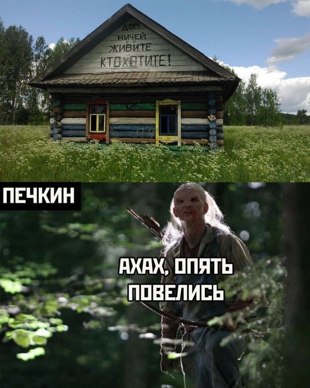 Прикольные картинки с надписями и холодец 