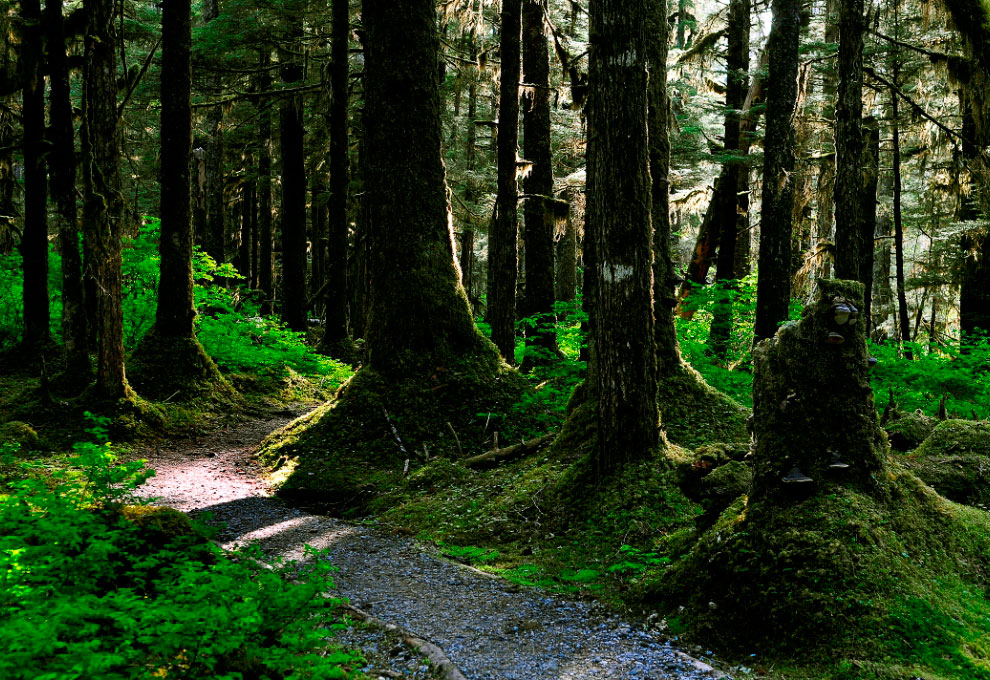 Национальный парк Глейшер Бей на Аляске Национальный парк Глейшер Бей на Аляске Путешествия,фото