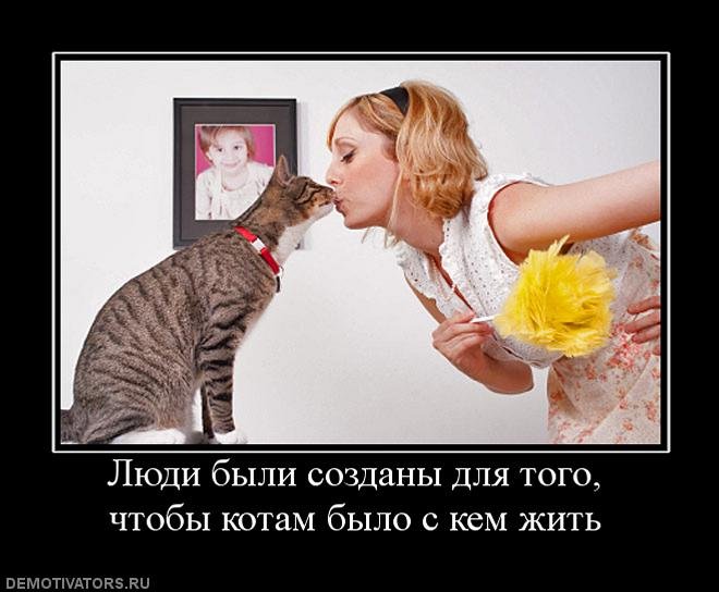 Подборка забавных, смешных и прикольных демотиваторов из нашей жизни Подборка забавных, смешных и прикольных демотиваторов из нашей жизни демотиваторы свежие,смешные демотиваторы