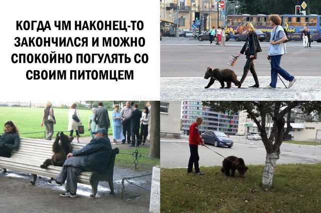 Подборка веселых надписей к картинкам и фото из сети