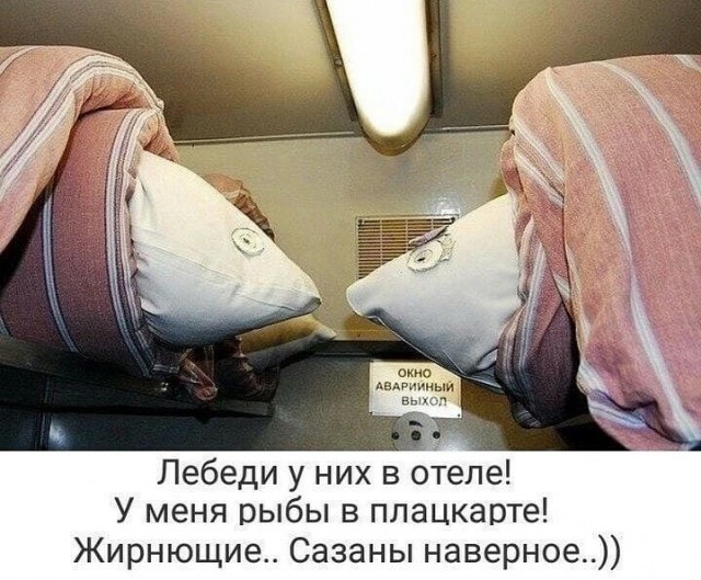 Смешное зверьё 