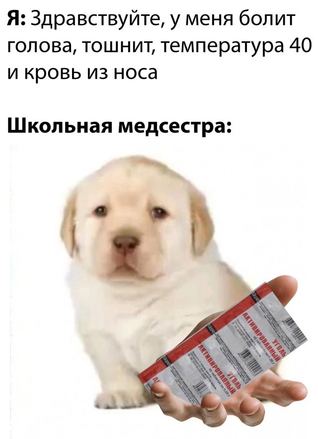 Подборка прикольных картинок Подборка прикольных картинок приколы,смешные картинки,юмор