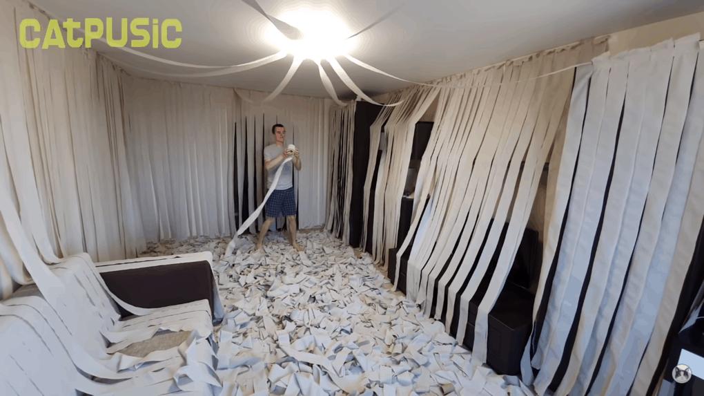 100 рулонов туалетной бумаги — хозяева сделали коту необычный подарок 100 рулонов туалетной бумаги — хозяева сделали коту необычный подарок истории из жизни