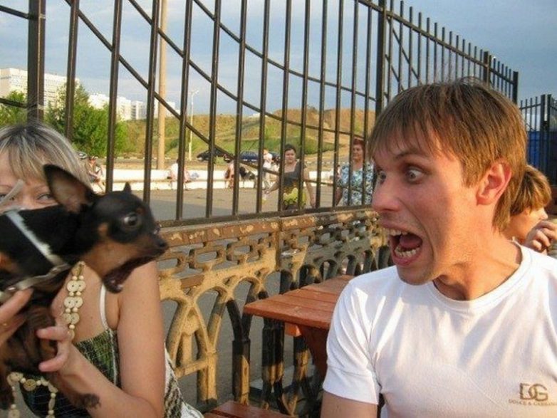 Веселые животные