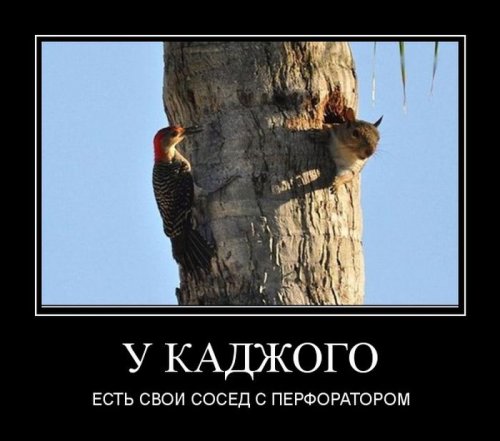 Демотиваторов сборник