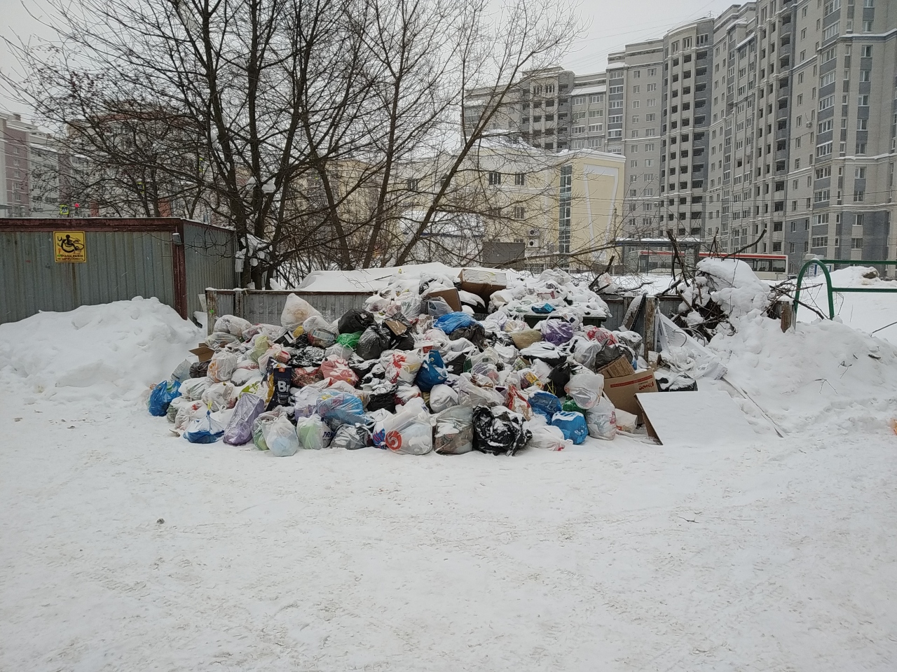 В Подмосковье за неделю поступило больше 3000 жалоб на невозможность вывоза мусора из-за снега