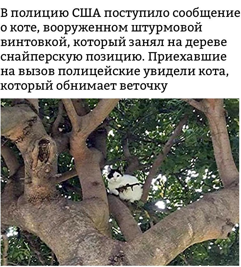 Жизненные надписи к картинкам и фотографиям из сети Жизненные надписи к картинкам и фотографиям из сети