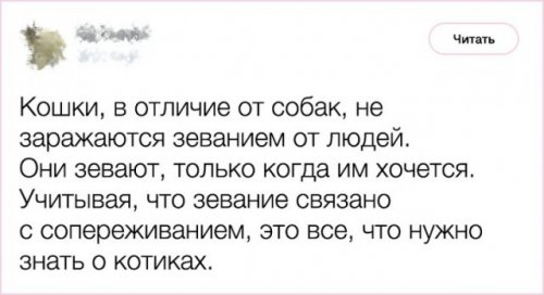 Свежая подборка приколов Свежая подборка приколов