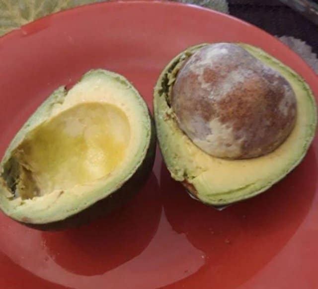 авокадо в разрезе