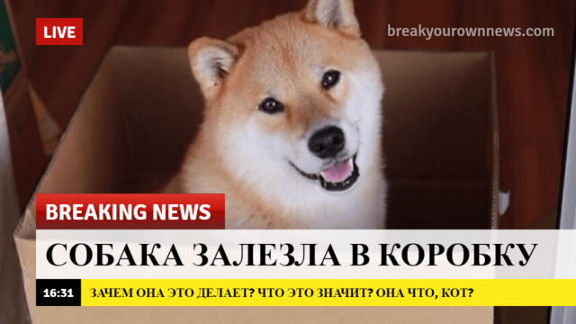 2-1
