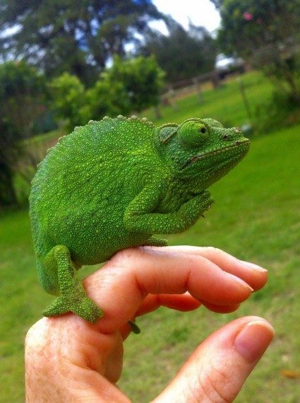 Весёлая подборка 