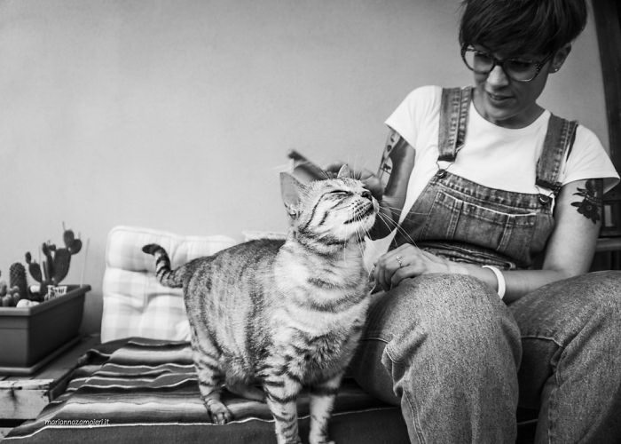 Когда пушистые комочки урчат и радуются Когда пушистые комочки урчат и радуются