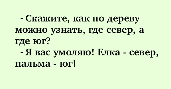 Подборка смешных шуток для поднятия духа 