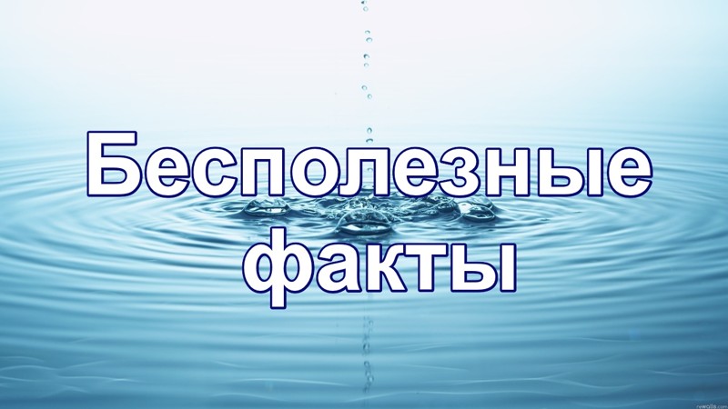 Бесполезные факты 2 интересное, познавательно, факты