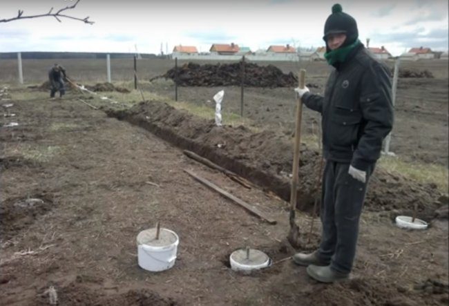 Бюджетная теплица из труб ПВХ бюджетная теплица