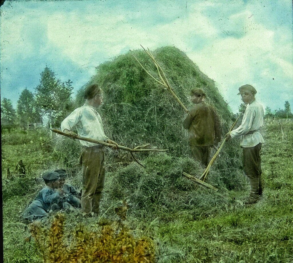 редкие мужчины на крестьянском покосе недалеко от Красноярска летом 1919 года