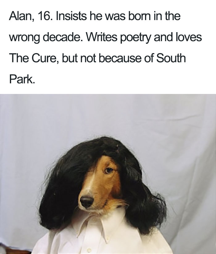 Funny Dog Bios