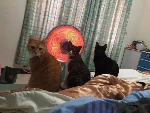 Весёлая подборка 