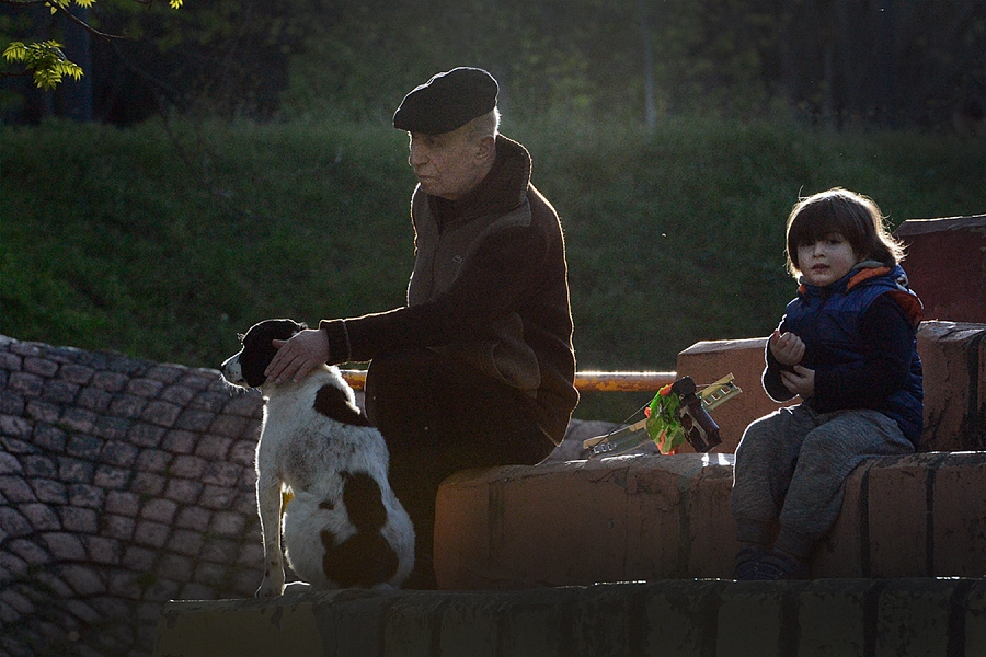 Родной внук. Дети сына чужие внуки. Чужие и родные внуки. Чужой внук. Чужие внуки лучше.