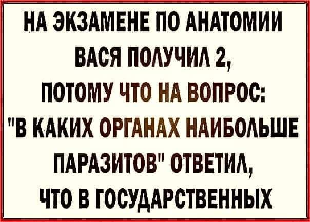 Возможно, это изображение (один или несколько человек и текст «Ha экзамене по анатомии вася получил 2, потому что на вопрос: "в каких органах наибольше паразитов" ответил, что в государственных»)