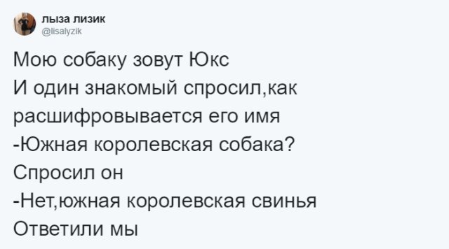 Пользователи соцсетей о необычных кличках домашних питомцев юмор