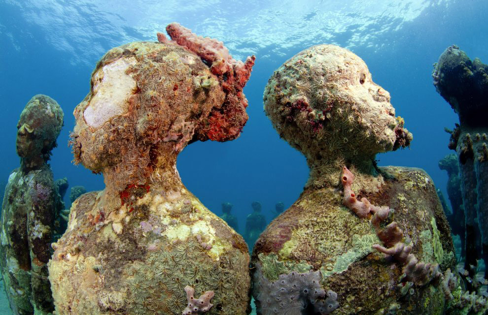 Подводные миры Подводные миры