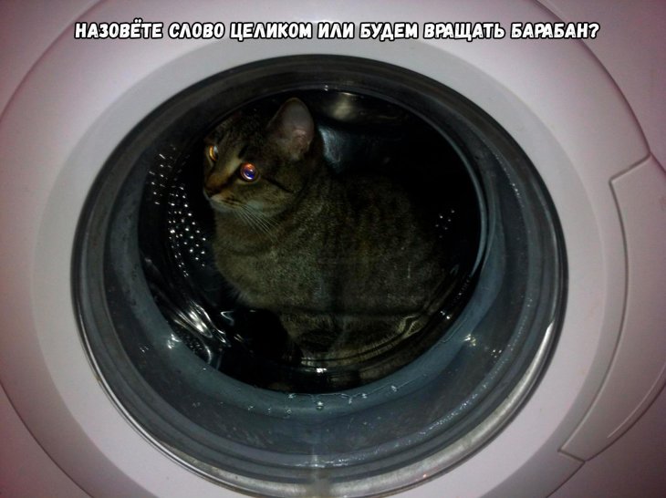 Подборка смешных картинок для поднятия настроения 