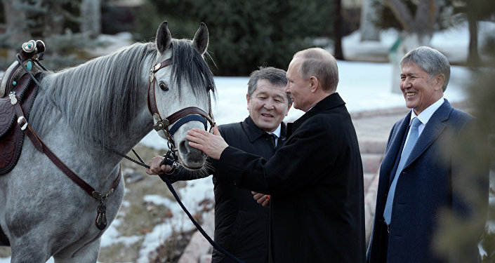 Президенту Путину подарили породистую лошадь