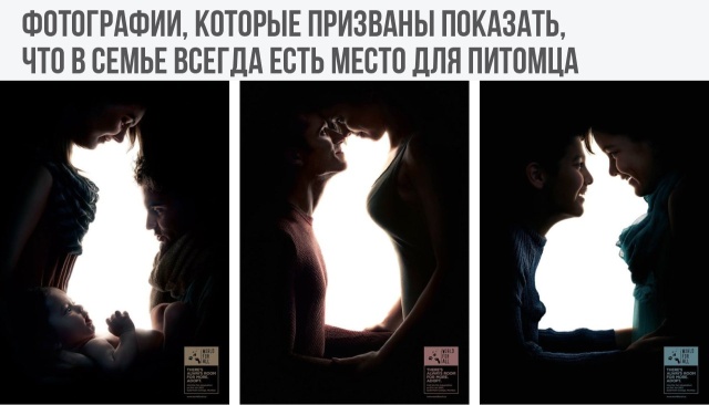 Подборка картинок Подборка картинок смешные картинки