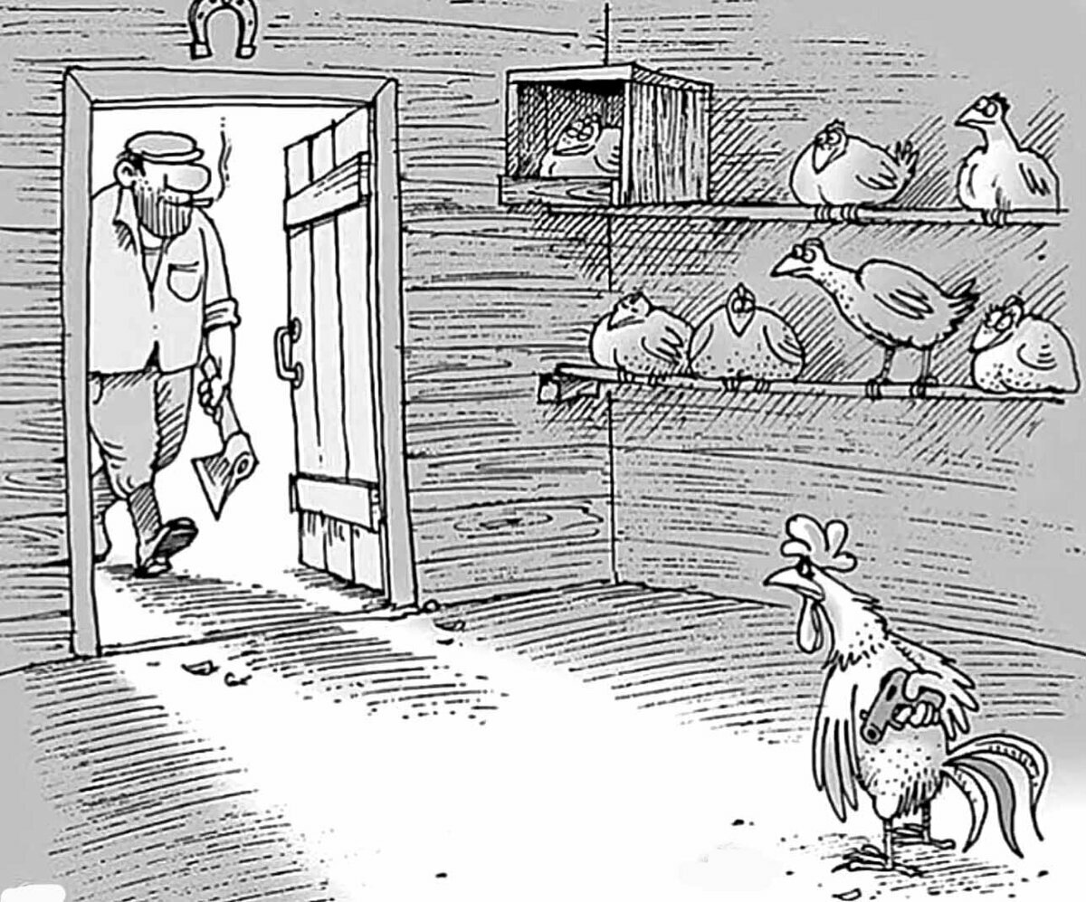 У меня претензии к мировой закулисе - почему животным не меняют пол?