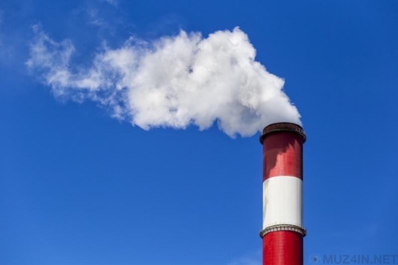 10 забавных, но ложных теорий о пенисе мифы и факты,пенис