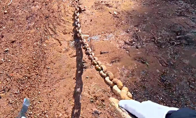 Мужчина увидел в земле цепь и начал копать. Ржавые звенья привели к колеснице возрастом 2000 лет