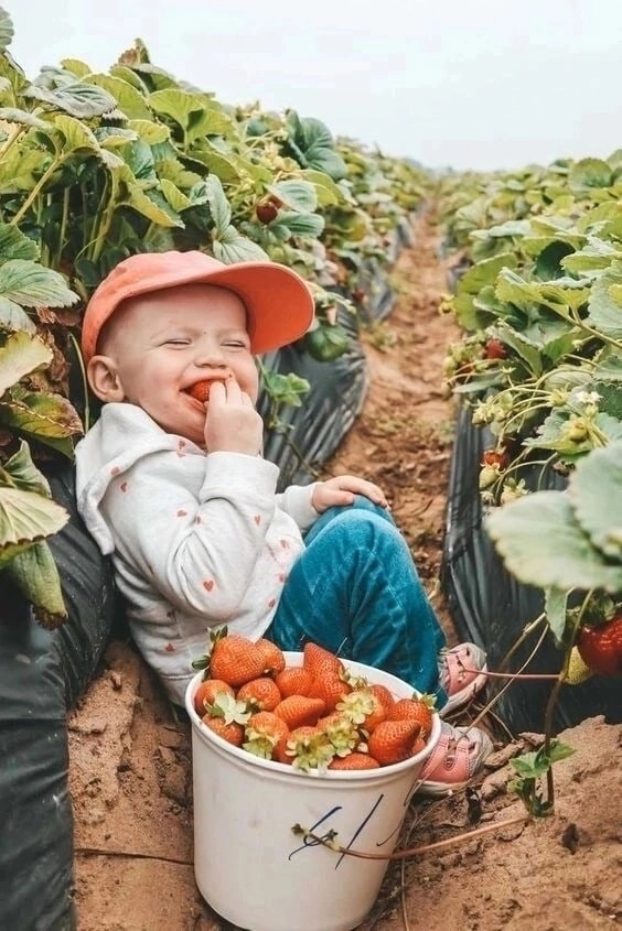 Хорошая у тебя жена, Мишаня 